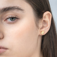 Star Stud And Butterfly Earring With Zircons