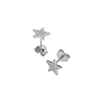 Star Stud And Butterfly Earring With Zircons