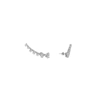 Stud And Butterfly Earrings With Scaled Heart Zircons