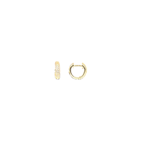 orecchino cerchio con zirconi pavé in argento 925 dorato
diametro mm 15 EDOM