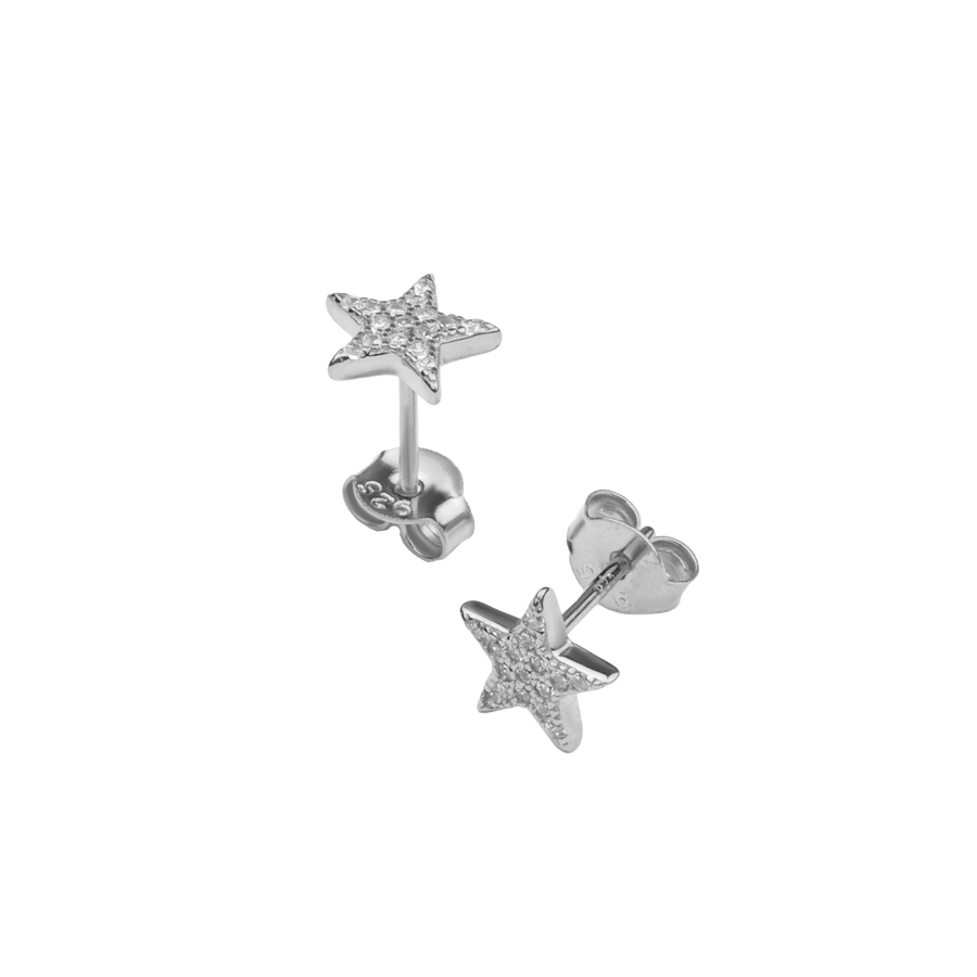 Star Stud And Butterfly Earring With Zircons