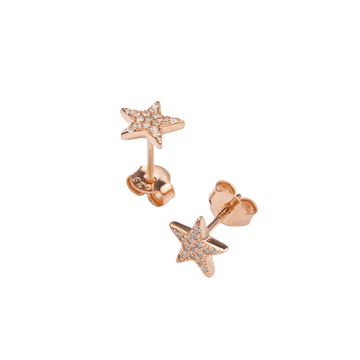 Star Stud And Butterfly Earring With Pinkish Zircons