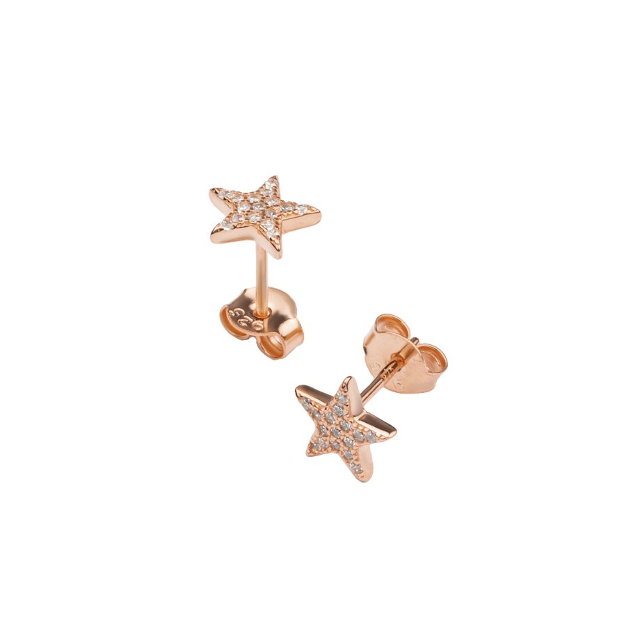 Star Stud And Butterfly Earring With Pinkish Zircons