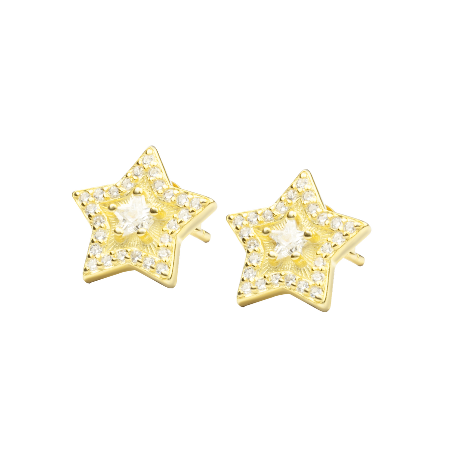Star Stud And Butterfly Earring With Zircons